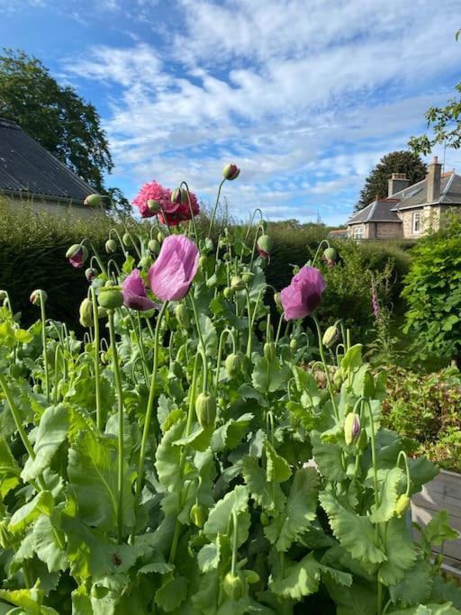 Glenburn, Peaceful Accommodation, Сasa de vacaciones Fochabers