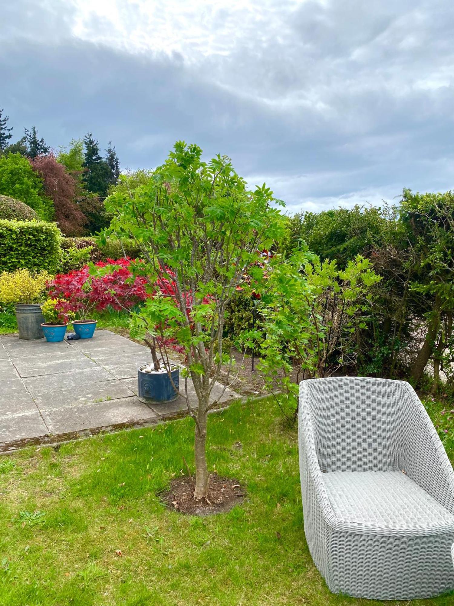 Glenburn, Peaceful Accommodation,